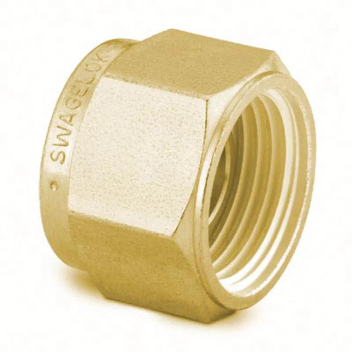 Brass Plug for 18 in. Swagelok Tube Fitting